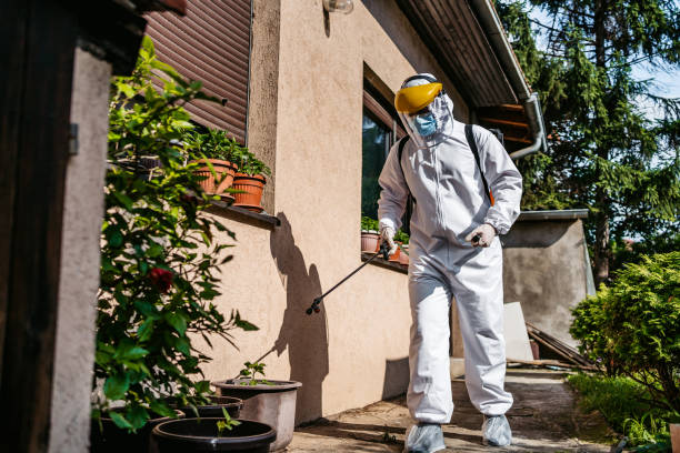 Best Cockroach Control Services  in Rden City, GA