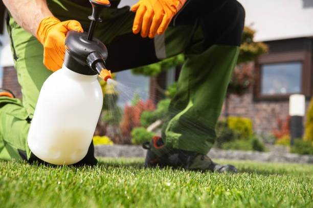 Best Pest Control Near Me  in Rden City, GA