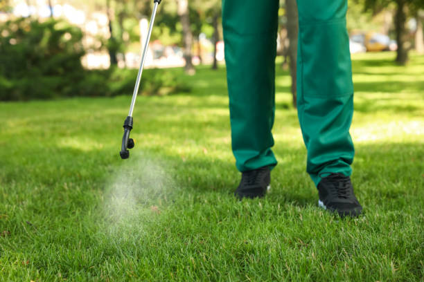 Best Pest Inspection Near Me  in Rden City, GA