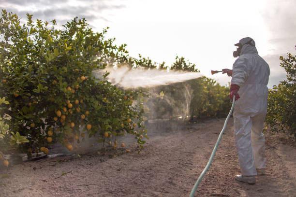 Best Pest Control Near Me  in Rden City, GA