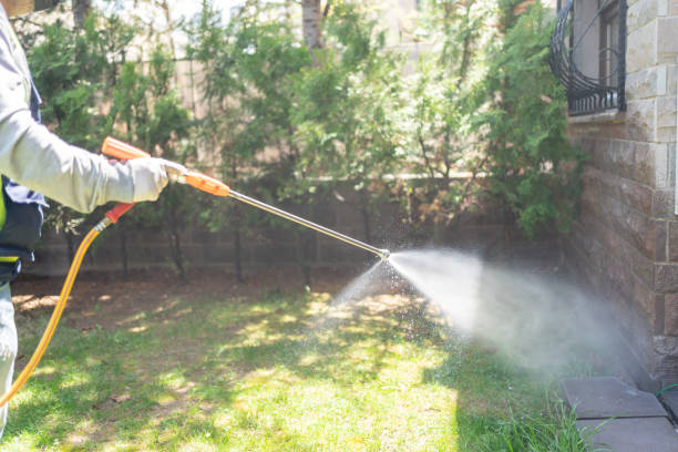 Best Rat Extermination Near Me  in Rden City, GA