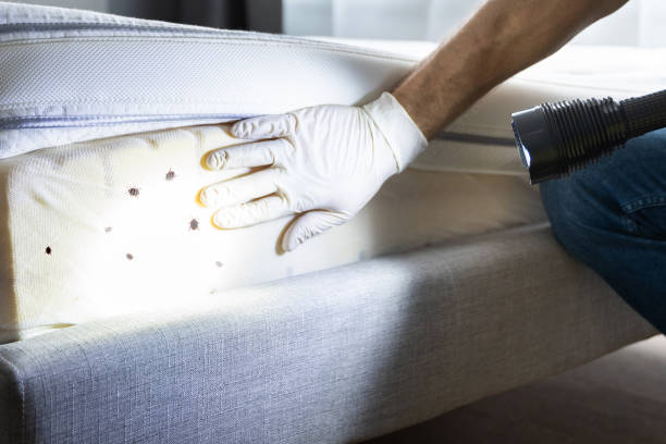 Trusted Garden City, GA Pest Control Experts