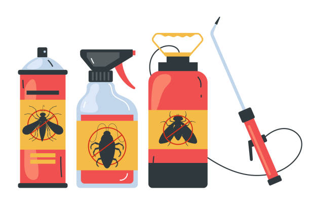 Best Spider Control Near Me  in Rden City, GA