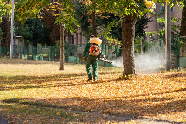 Best Bed Bug Extermination  in Rden City, GA