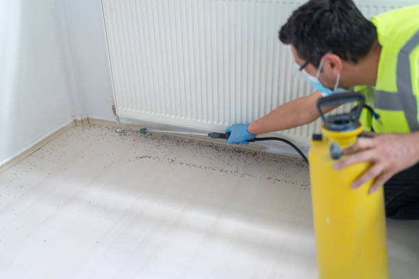 Best Pest Control Near Me in Garden City, GA