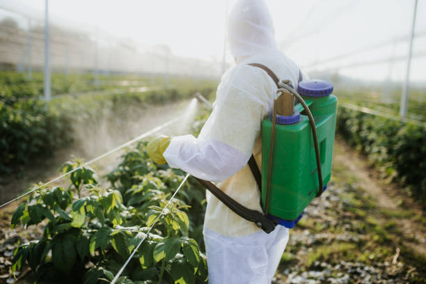 Best Affordable Pest Control Services  in Rden City, GA